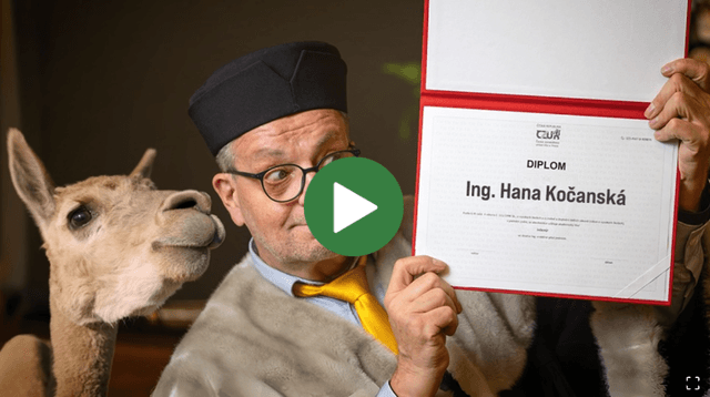 Thumbnail - Lama diplom